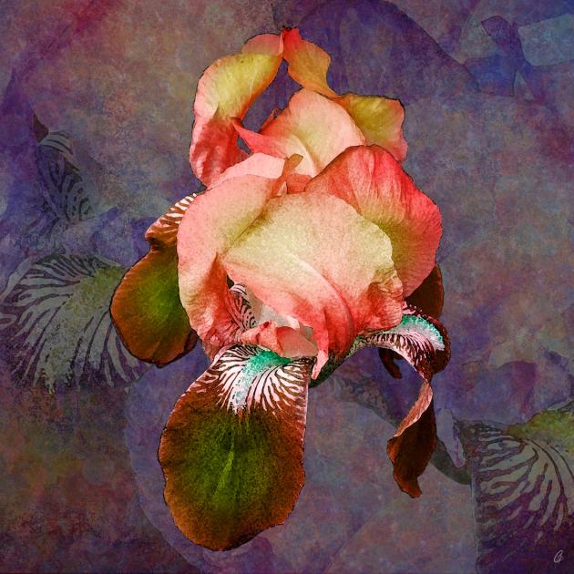 ENTRE CIEL ET TERRE.jpg